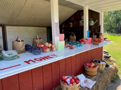 Farm Stand at Sleeping Bear Orchards