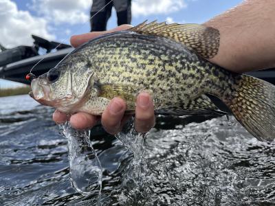 Great crappie fishing awaits you this winter and spring on The Northshore