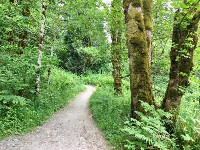 Whipple Creek Trail