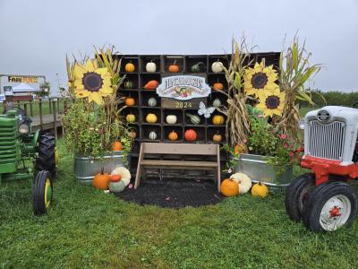 pumpkin themed photo backdrop at Flinchbaugh's