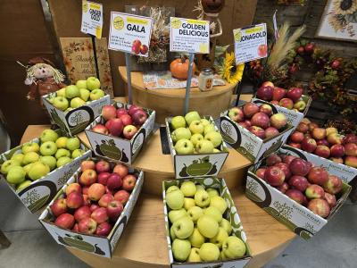 apple boxes at Flinchbaughs