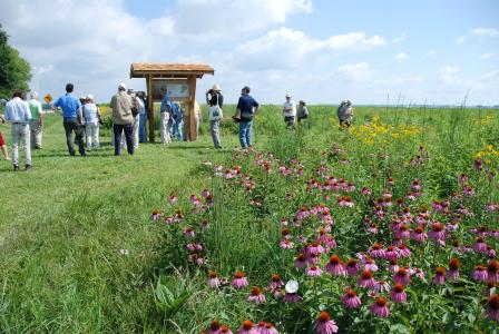 Huffman Prairie Field