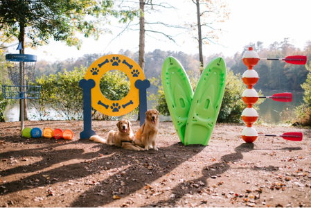 A Dog S Day Out In Williamsburg