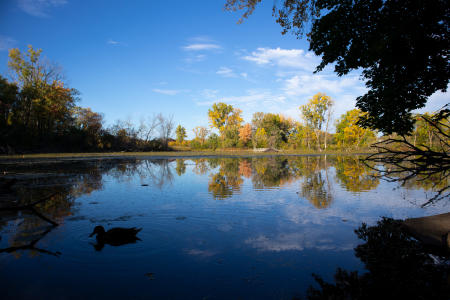 Fall at Spring Valley Nature Center Schaumburg