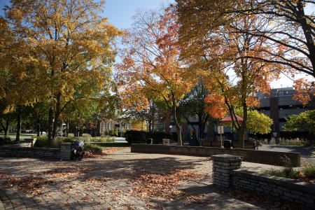 North School Park in the fall