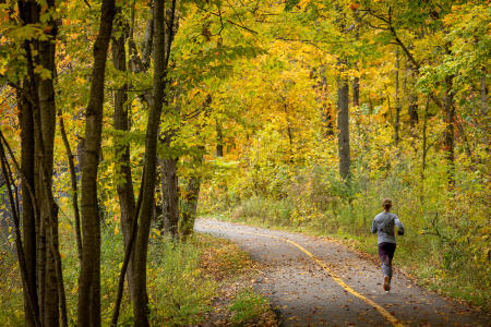 Fall at Busse Woods