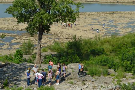 Fossil beds at the Falls of the Ohio