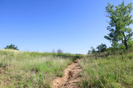 Clear Creek Trails