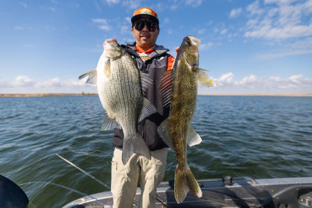 Walleye and White Bass