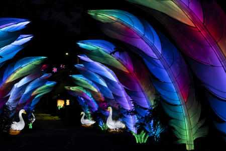 Mesker Wild Summer Lights