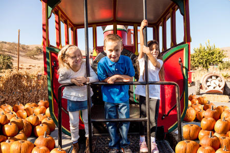 Casa de Fruta Pumpkin Junction