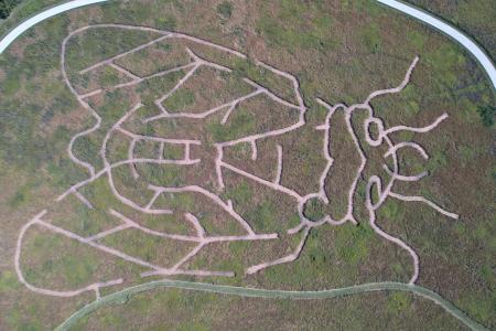 The McCloud Prairie Maze outside of North Salem celebrates the Brood X cicada. (Photo courtesy of Hendricks County Parks & Recreation)