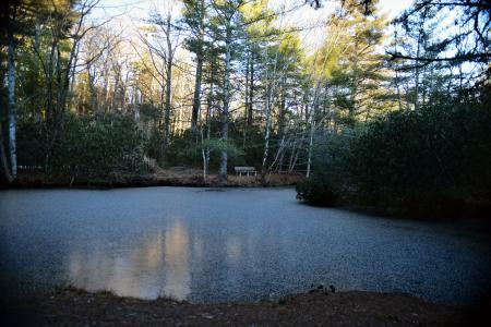 Dixon Woods