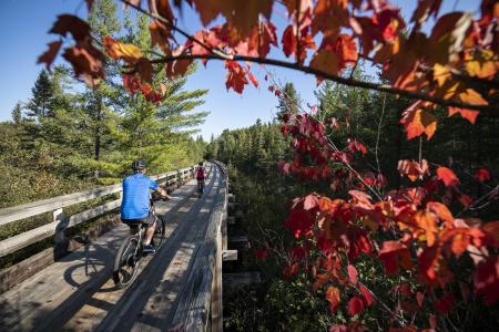 People Fall Biking On A Bridge In Minocqua, WI