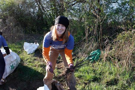 image of young woman planting tree sapplings in northern kentucky to help the environment