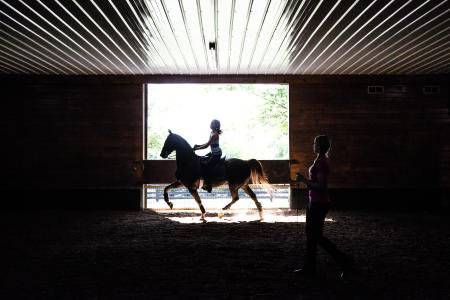 A rider on an American Saddlebred horse in Shelby County, Kentucky, the American Saddlebred Capital of the World.