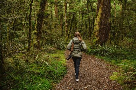 A lady with a camera walking in Fiordland
