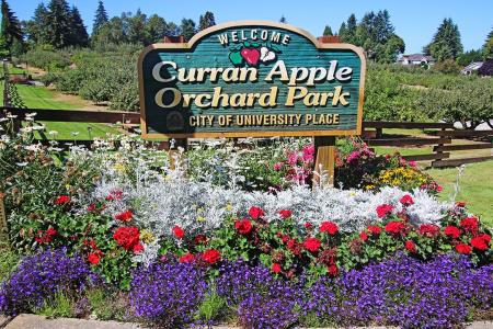 Curran Apple Orchard