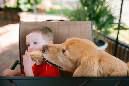 dog and child eating ice cream <3
