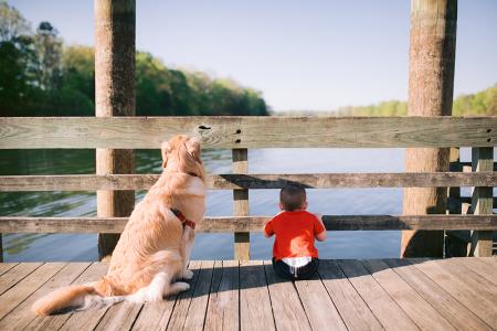 dog and child looking over bridge