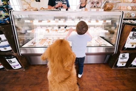 dog and child looking at desserts