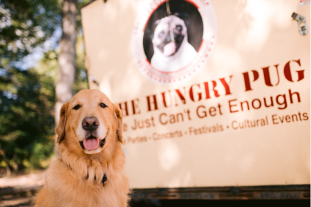 Dog modelling in front of the Hungry Pug