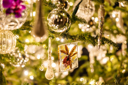 LW Christmas 2023