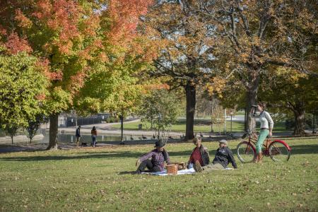 people having a picnic in the park in the fall