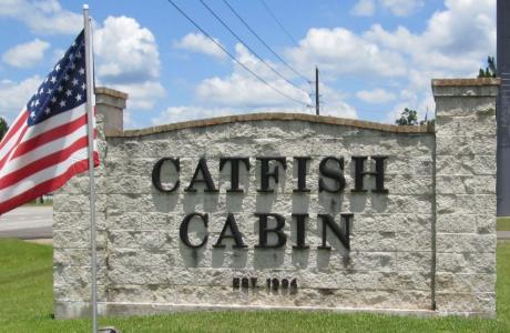 catfish