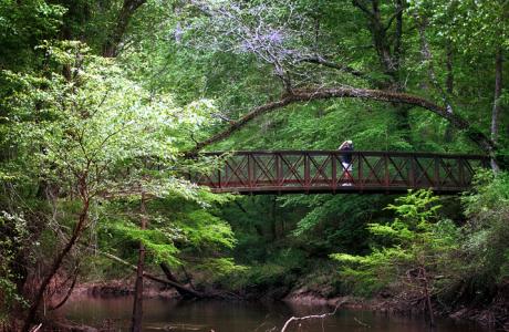 Village Creek bridge on the Kirby Nature Trail