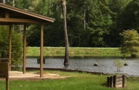 Claiborne West Park