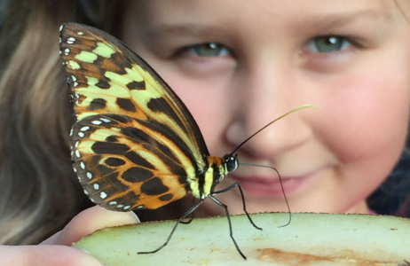 A close up of a young girl's face smiling at a yellow and black butterfly which is in the foreground of the image
