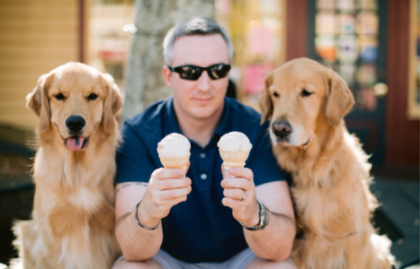 Dogs eating Icecream