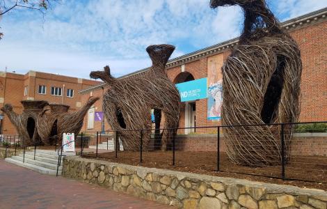 Ackland Art Museum Exterior