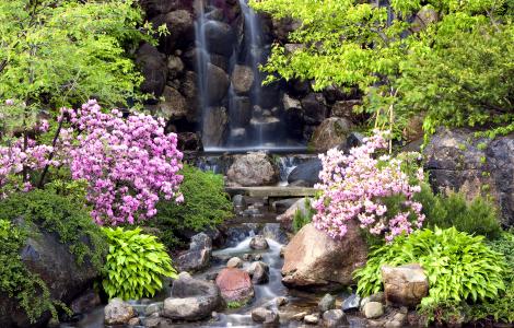 Anderson Japanese Gardens Waterfall