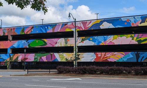 Dunwoody Marta Mural Flora Chroma Parking Deck Mural of Native Flowers