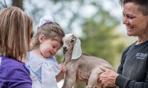 Split Creek Goat Farm