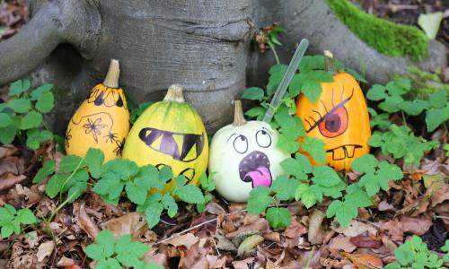 Pumpkins painted with scary faces at the base of a tree