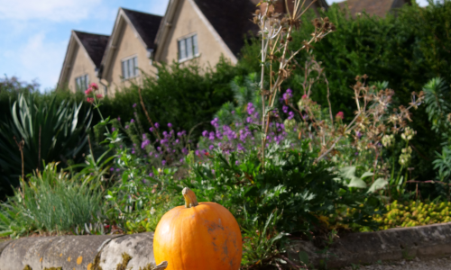 Pumpkin trail at Packwood House