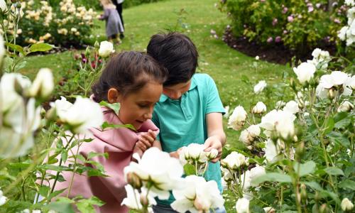 Two children playing amongst spring blossoms at Charlecote Park