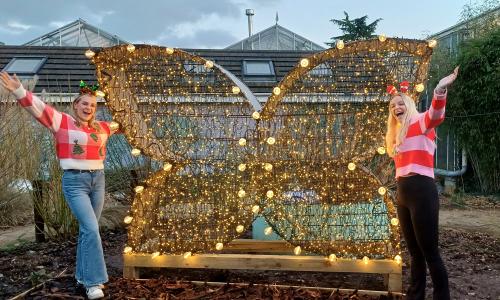Christmas Entrance at Stratford Butterfly Farm