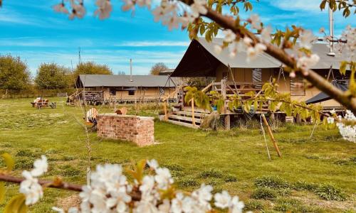 A beautiful glamping field with spring blossom