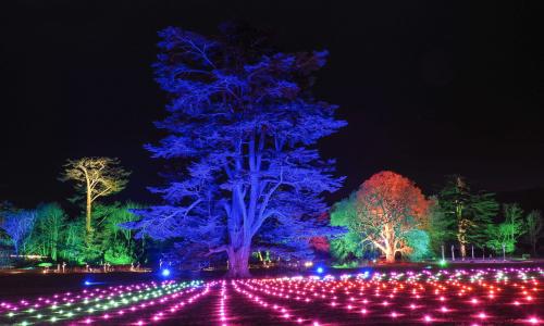 Spectacle of Light Compton Verney