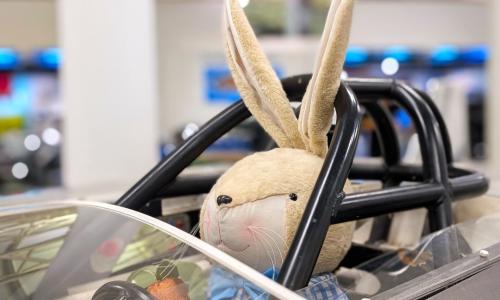 An Easter bunny in the driving seat of a classic race car at British Motor Museum