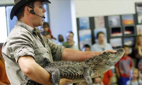 Scales and Tails at Utah County Fair