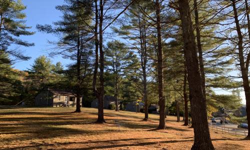 Hillcrest Cottages