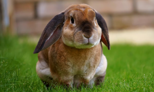 Easter