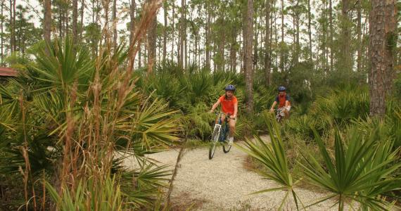 Biking / Hiking Trails