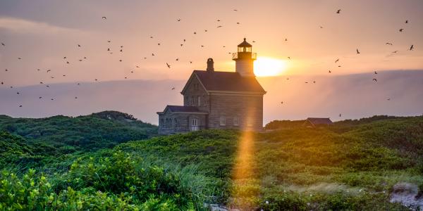 north light