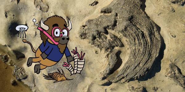 Cartoon Billie the Bison wearing snorkeling gear explores fossil beds at Falls of the Ohio State Park alongside ancient sea fossil impressions and prehistoric sea creatures.
